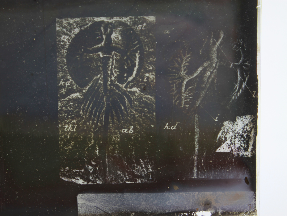 Bausch & Lomb Model C Balopticon Slide Projector With Slides