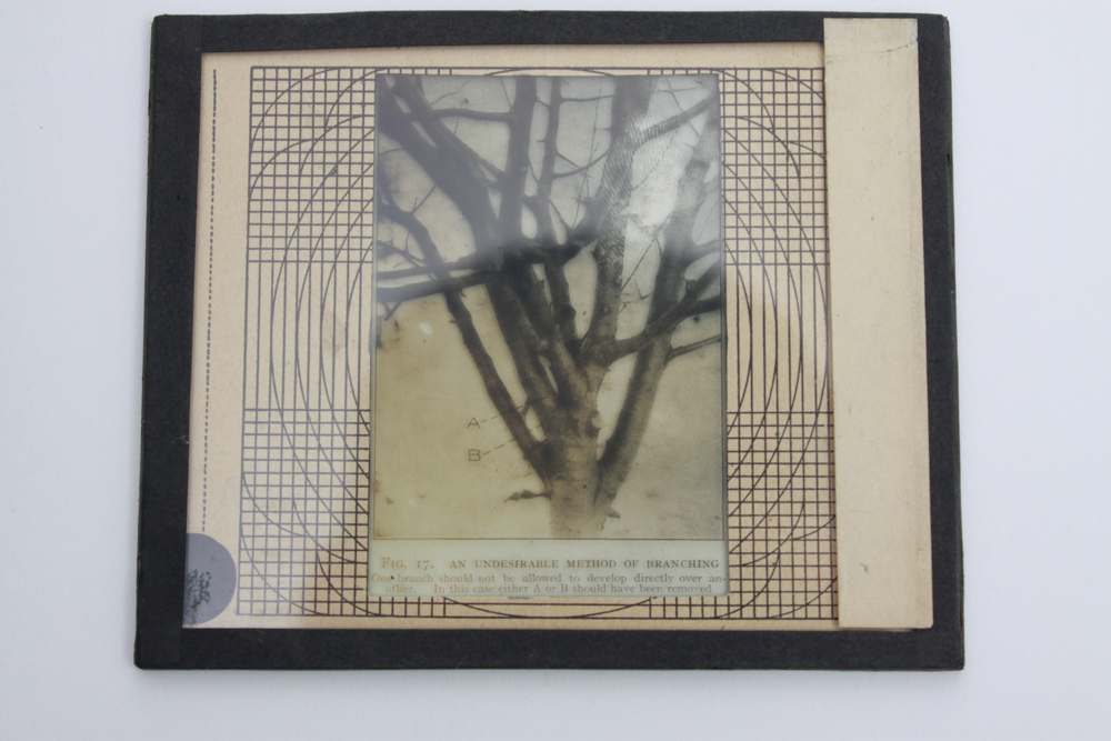 Bausch & Lomb Model C Balopticon Slide Projector With Slides