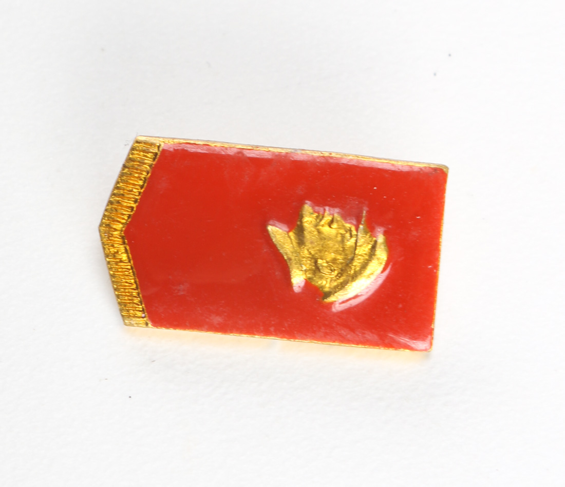 Collection of Vintage Pins