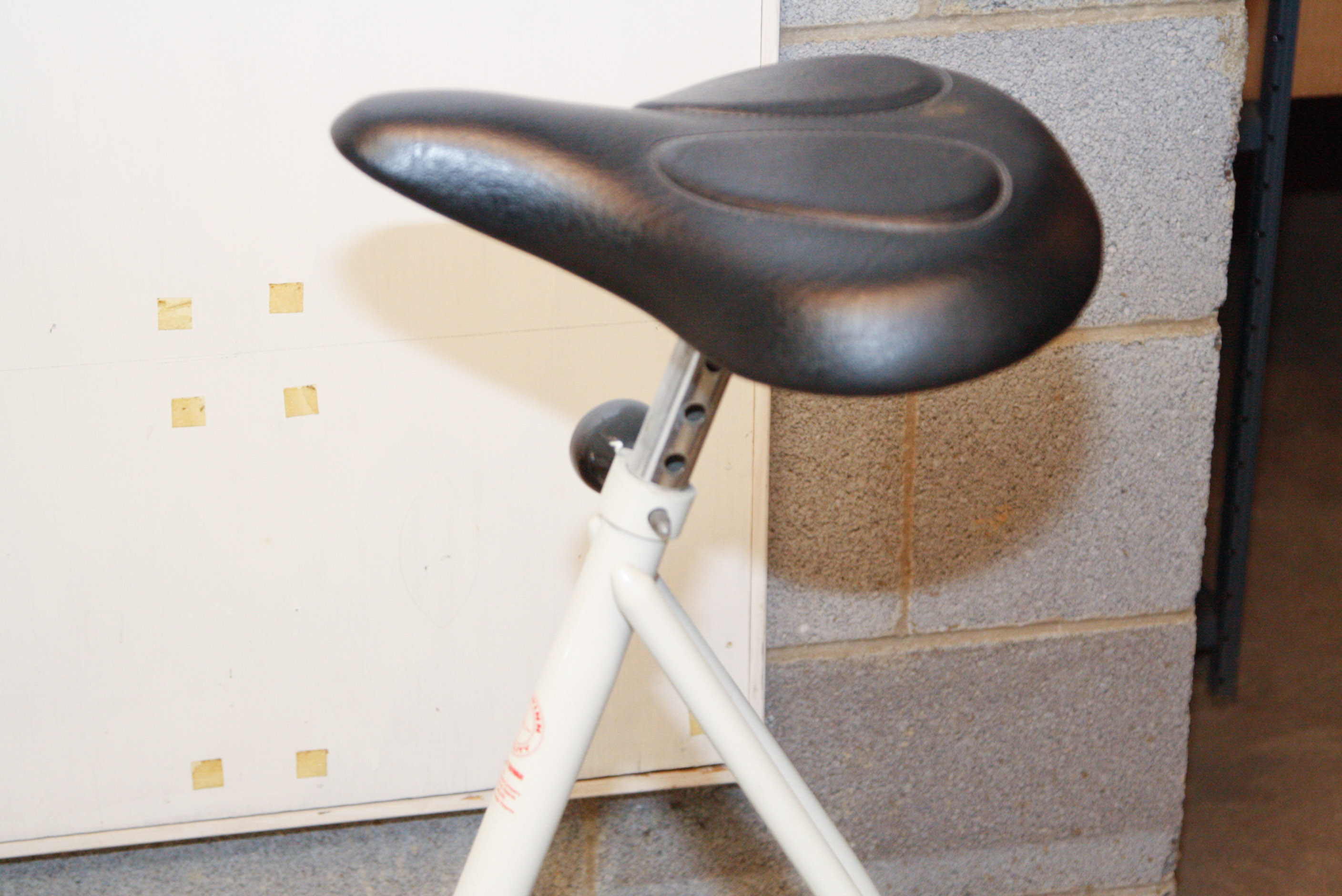 Schwinn Airdyne AD4 Stationary Exercise Bike