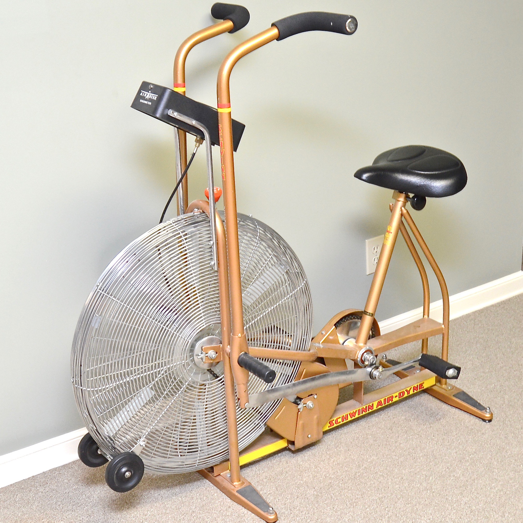 Old schwinn airdyne exercise bike hot sale