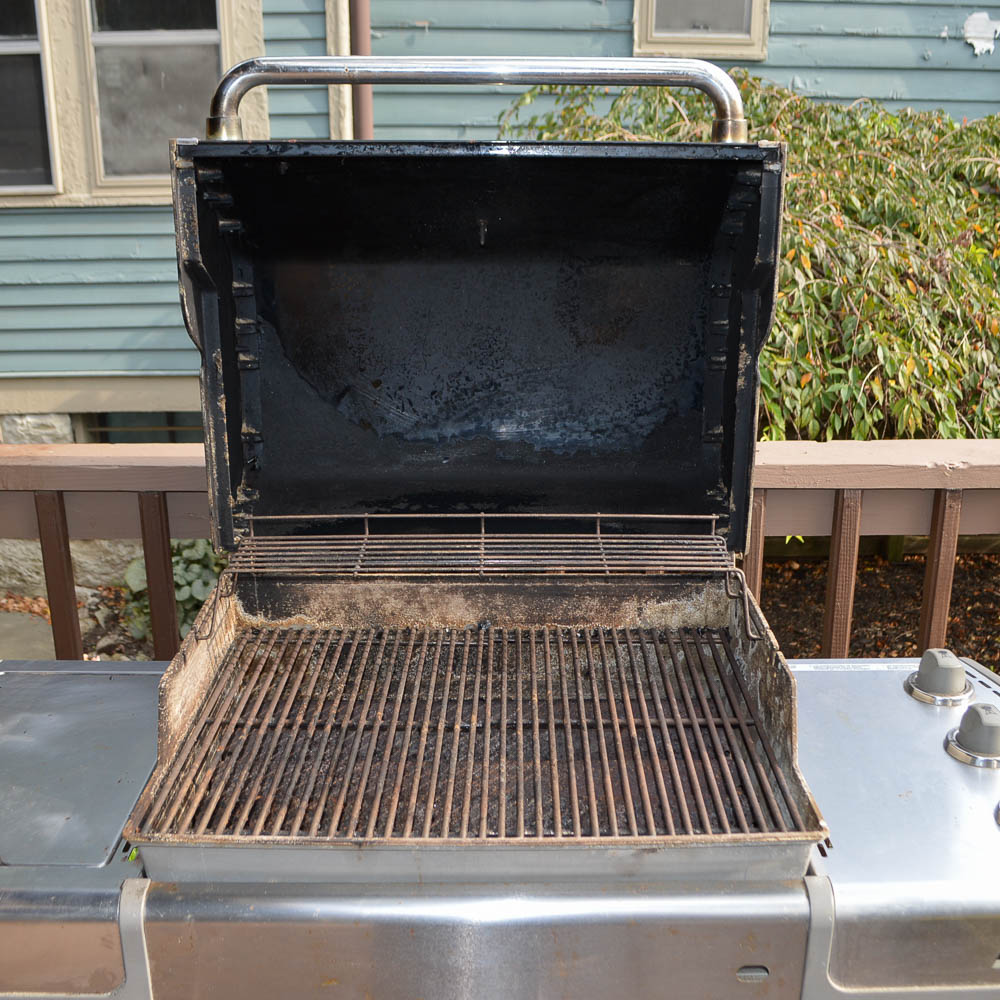 Weber Genesis Special Edition Gas Grill