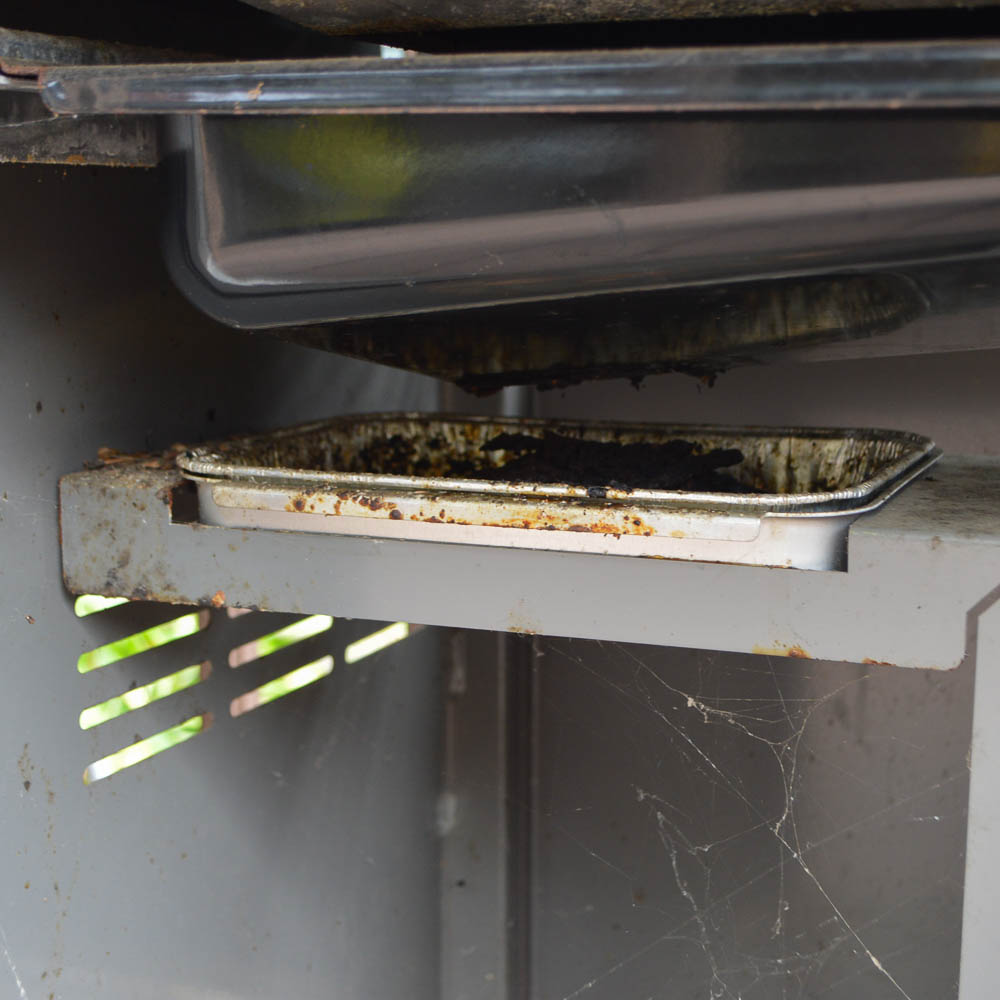 Weber Genesis Special Edition Gas Grill