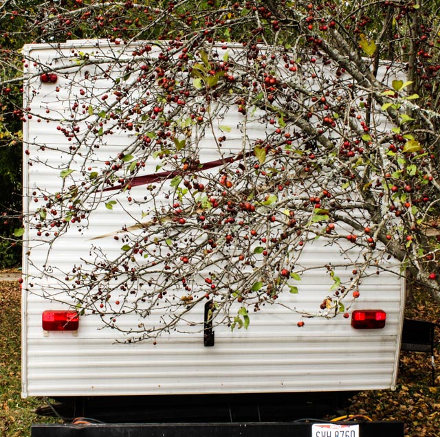 Cavalier Pull-Behind RV Trailer