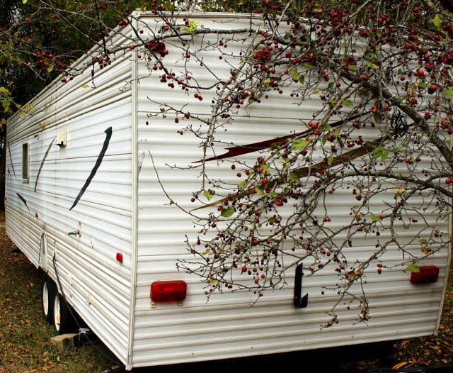 Cavalier Pull-Behind RV Trailer