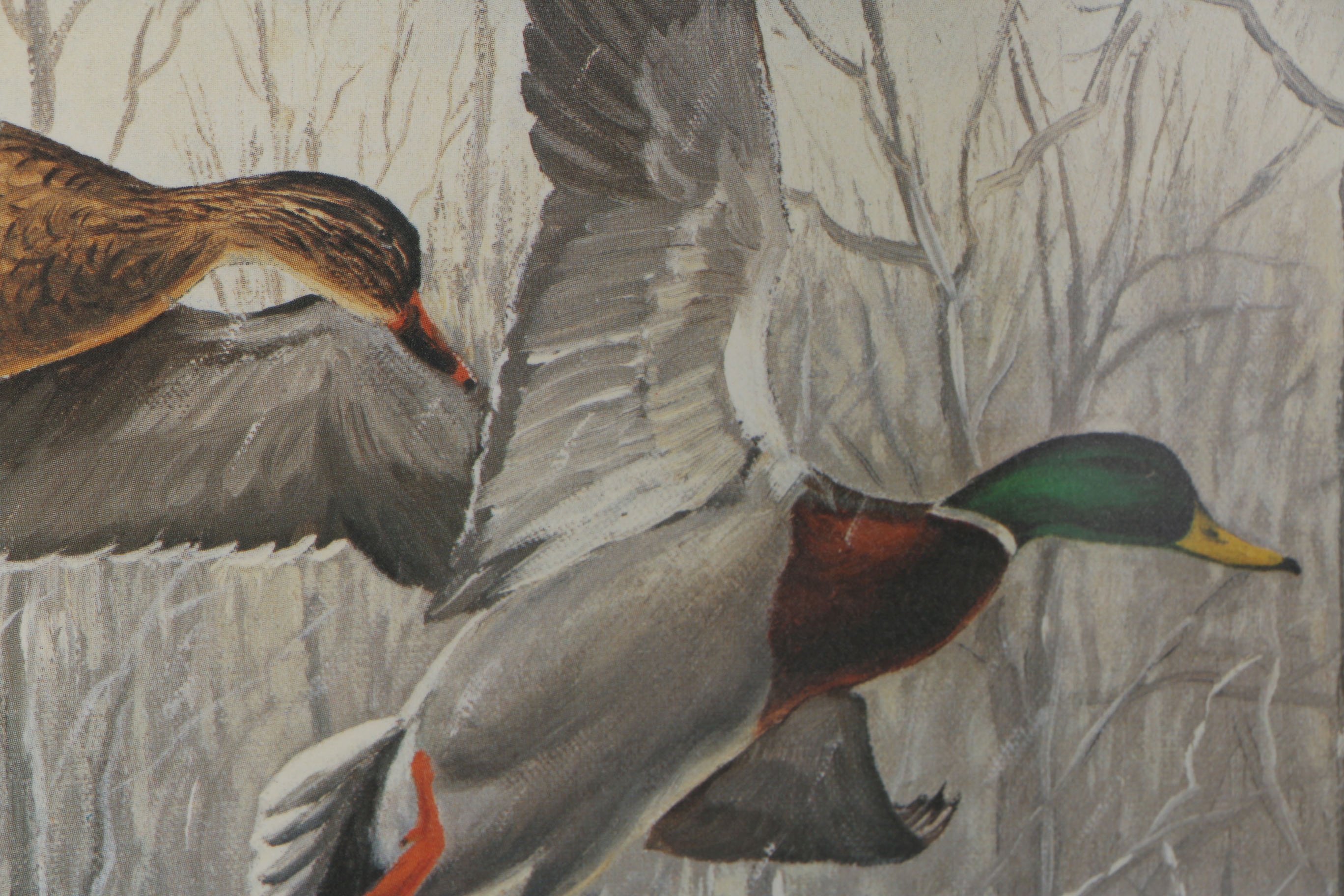 Maynard Reece Signed Limited Edition Offset Lithograph "The Snowstorm Mallards"