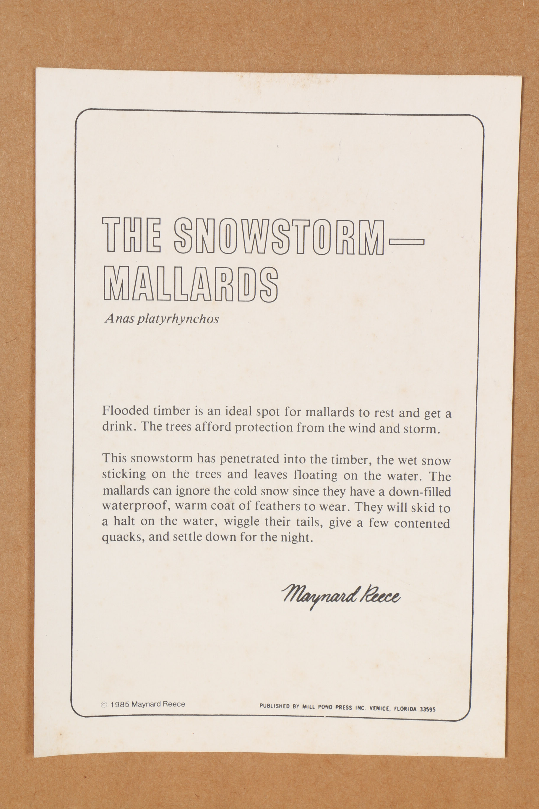 Maynard Reece Signed Limited Edition Offset Lithograph "The Snowstorm Mallards"