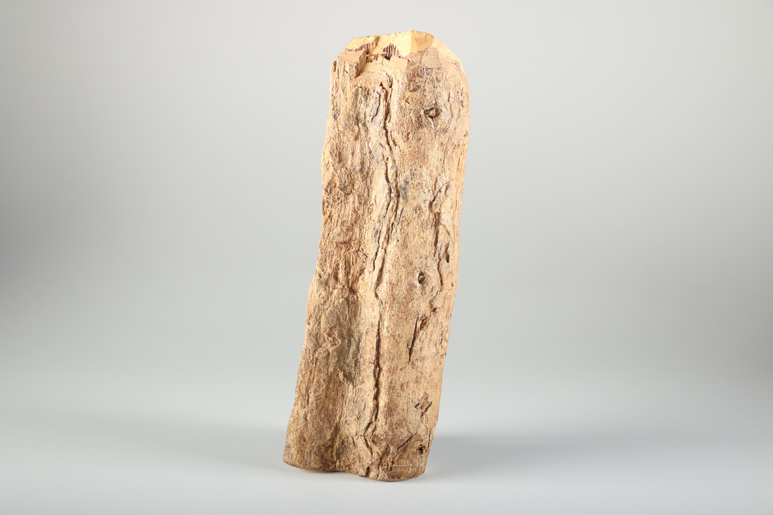 Wood Sculpture and Papier-Mâché Animals