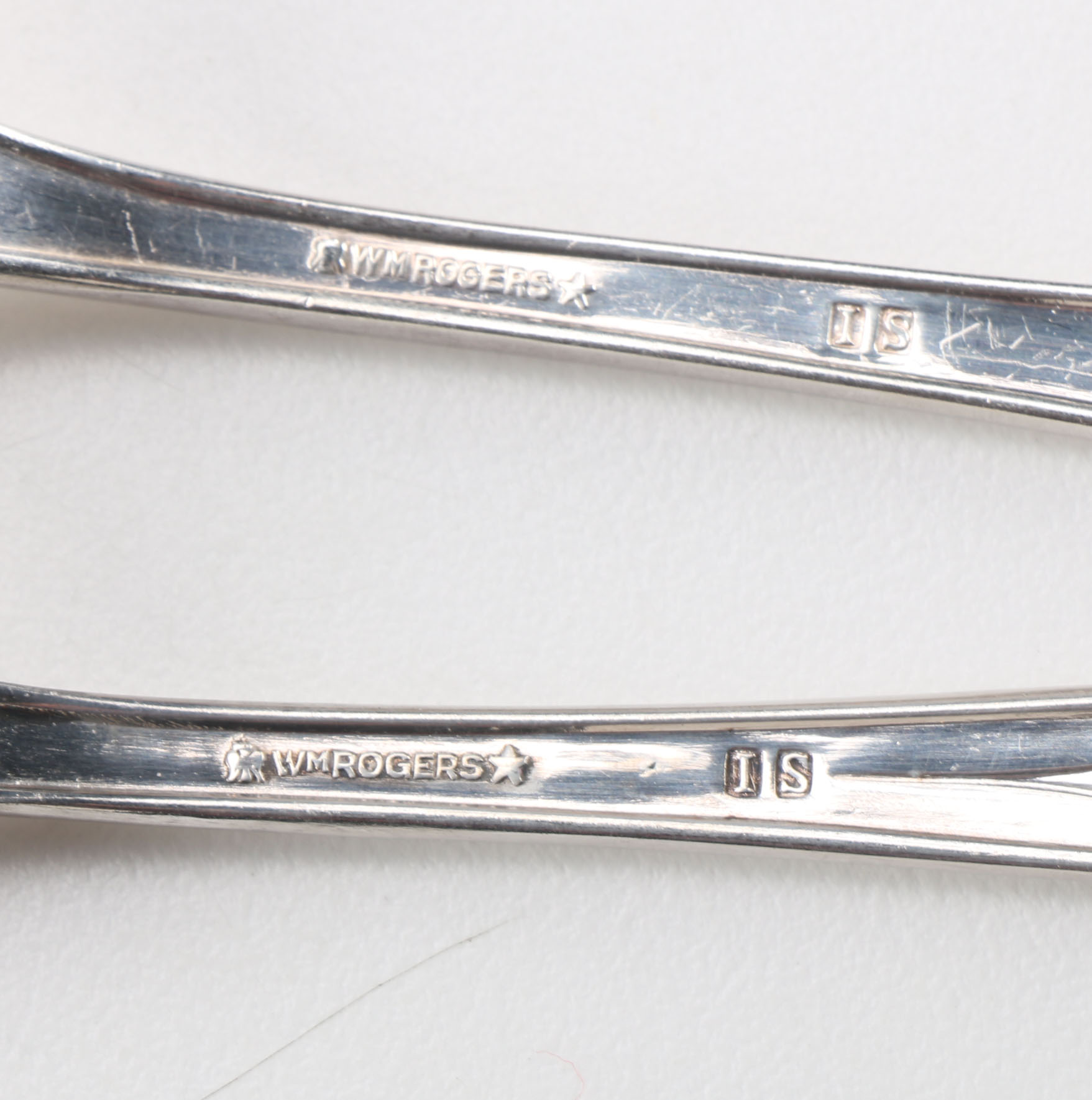 Wm. Rogers "Memory" Pattern Silver Plate Flatware with Stainless Steel Knife Blades