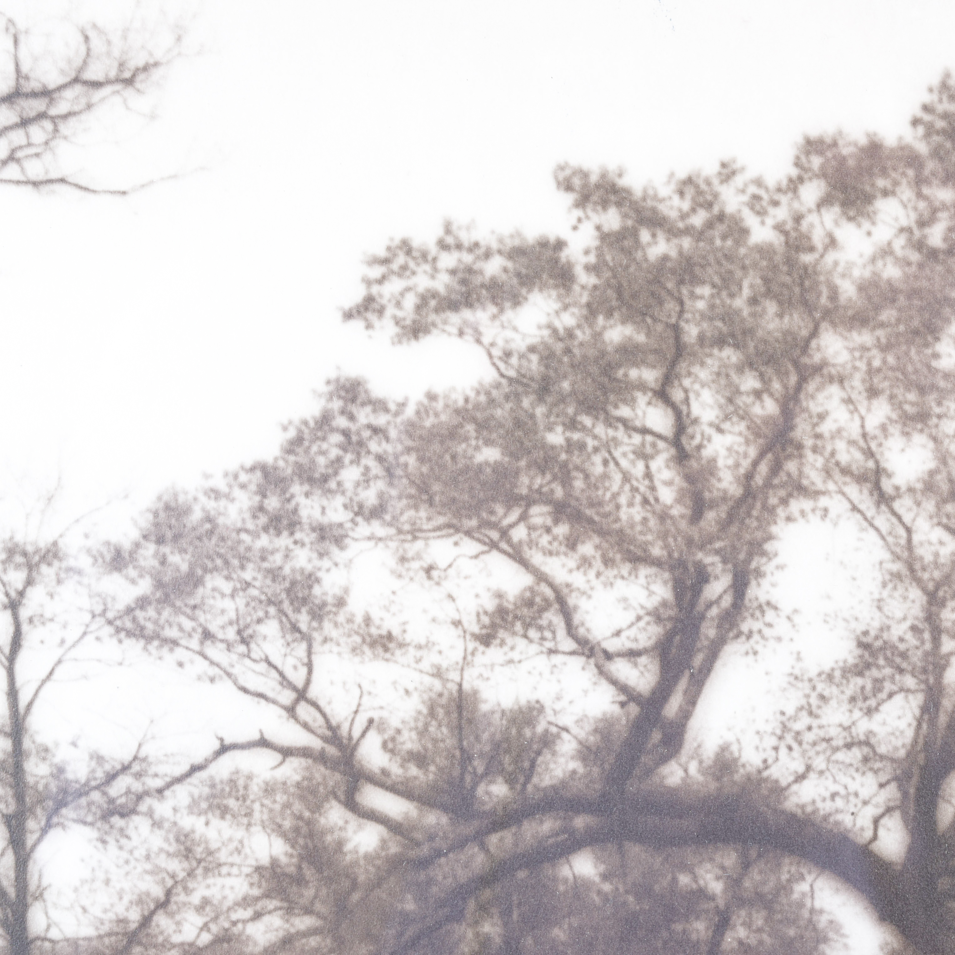 Vintage Helene Gould Allene Sepia Photograph "Pennsylvania"