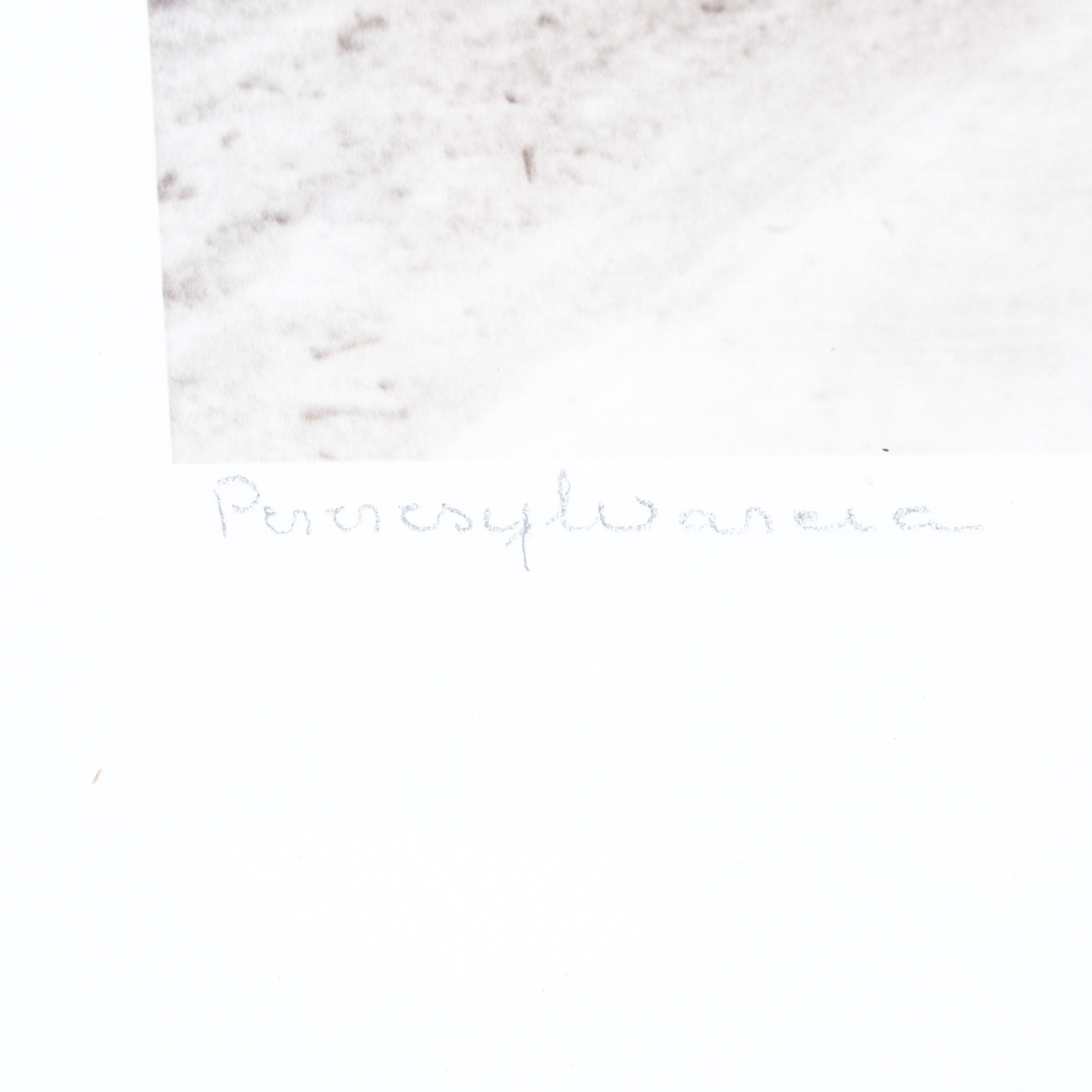 Vintage Helene Gould Allene Sepia Photograph "Pennsylvania"