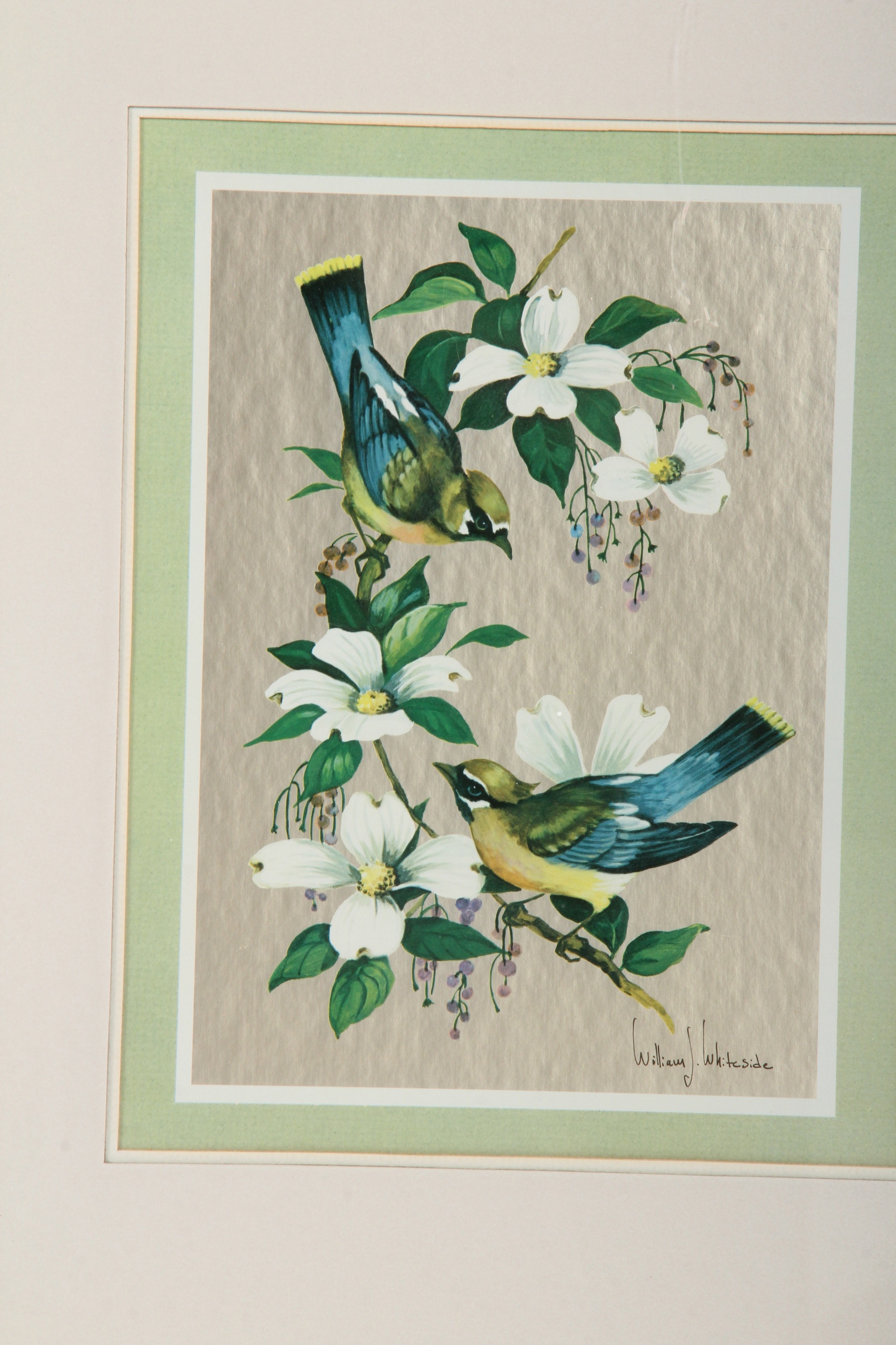 Pair of William J. Whiteside Bird Prints on Foil