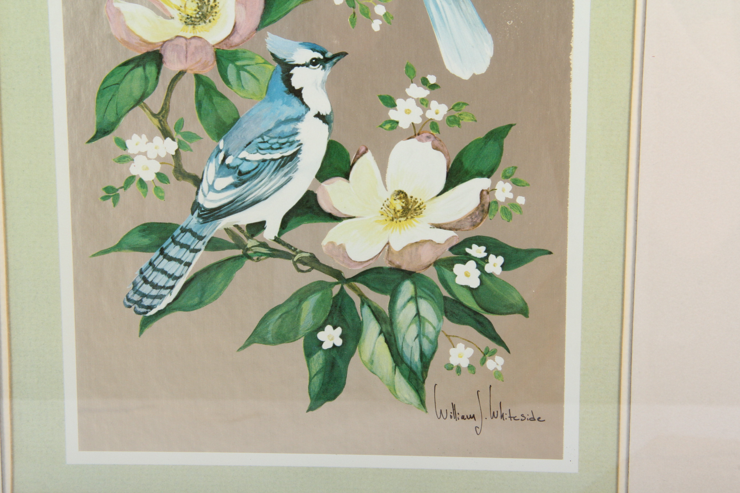 Pair of William J. Whiteside Bird Prints on Foil