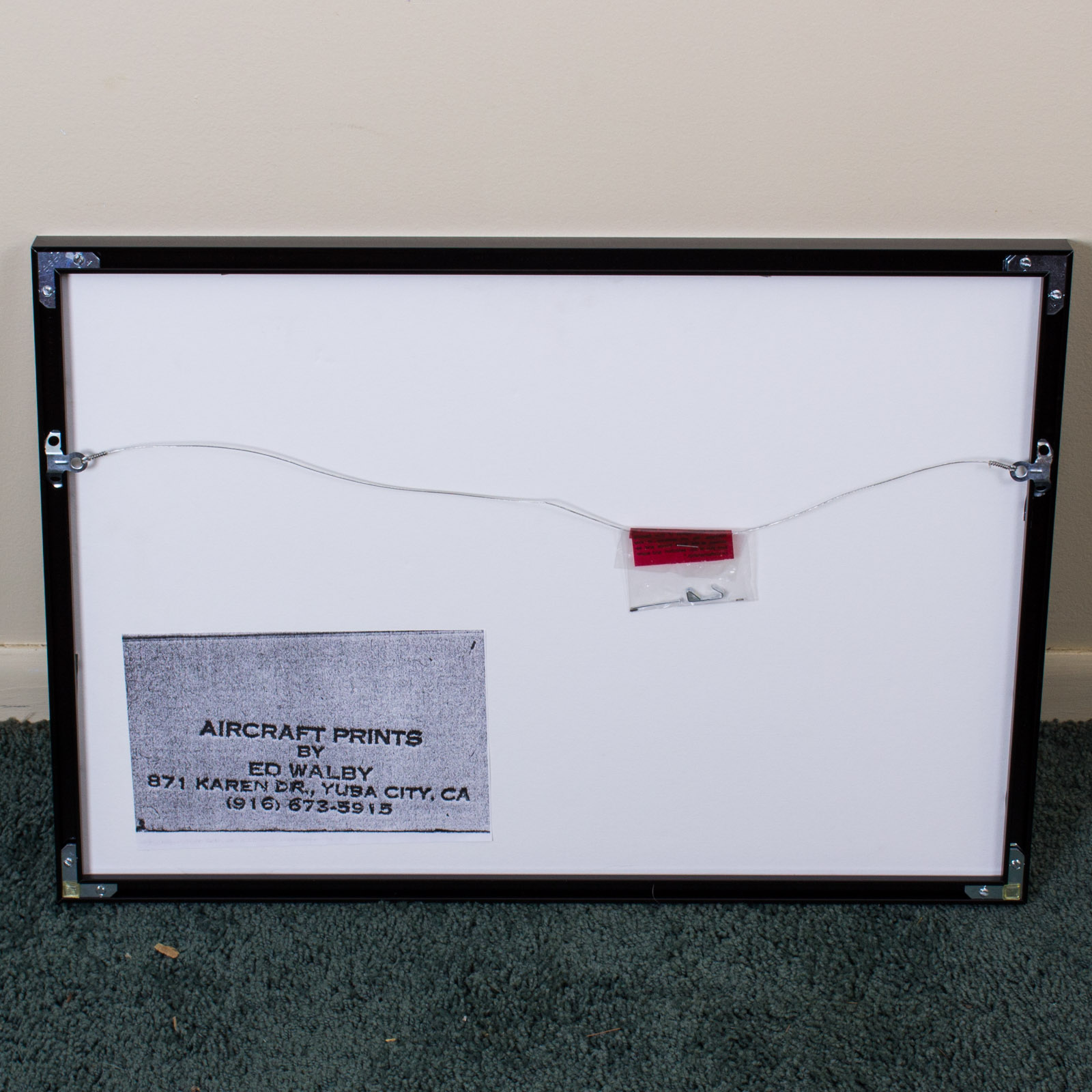 Edward Walby United States Air Force Aircraft Signed Limited Edition Offset Lithograph