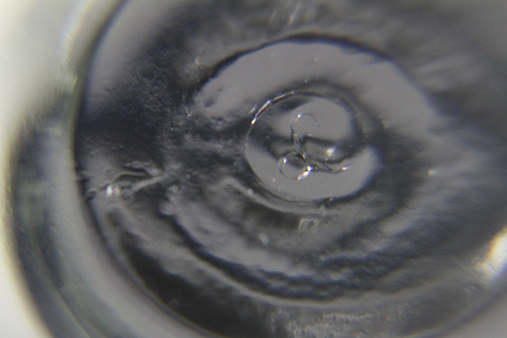 Set of Short Glass Goblets