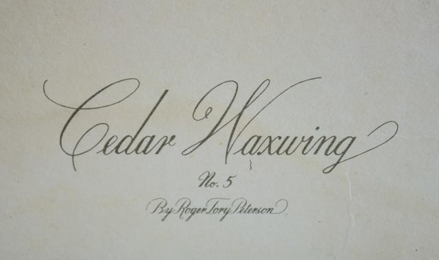 Pair of Framed Bird Prints and an Audubon Lithograph