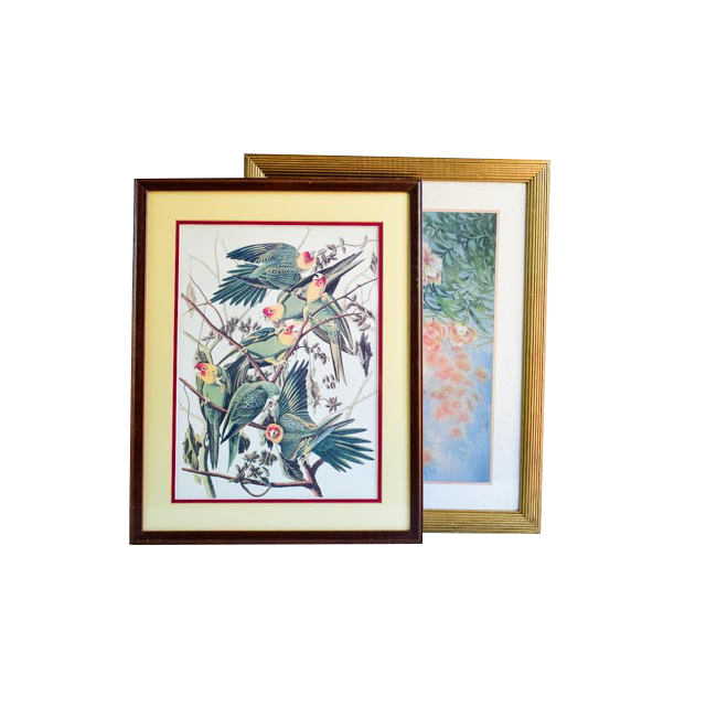 Pair of Framed Bird Prints and an Audubon Lithograph