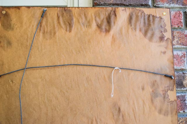 Pair of Framed Bird Prints and an Audubon Lithograph