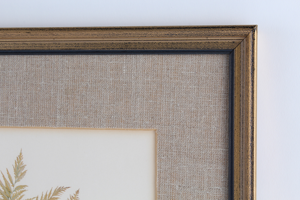 Roger Tory Perterson Offset Lithograph of ""Ruffed Grouse"