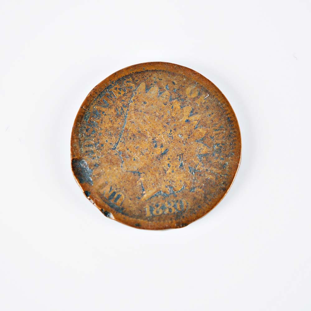 Collection of Indian One Cent Coins