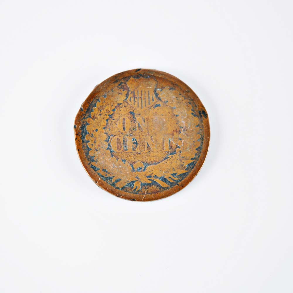 Collection of Indian One Cent Coins