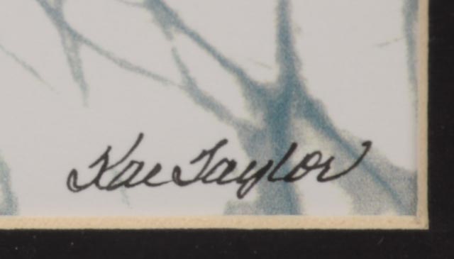 Pair of Kae Taylor Signed Digital Prints of Penguin Batiks