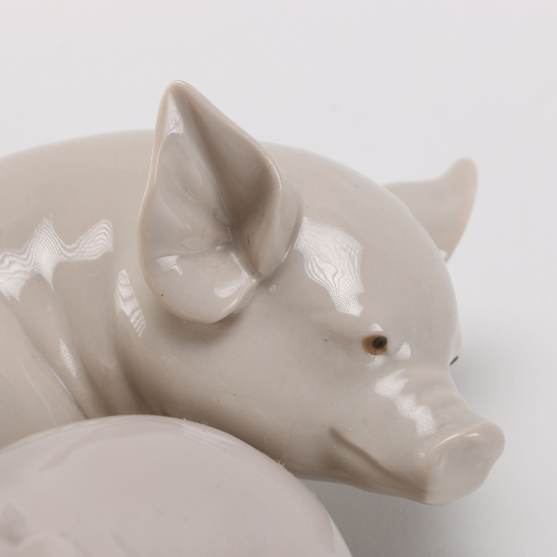 Lladró "Playful Piglets" Figurine