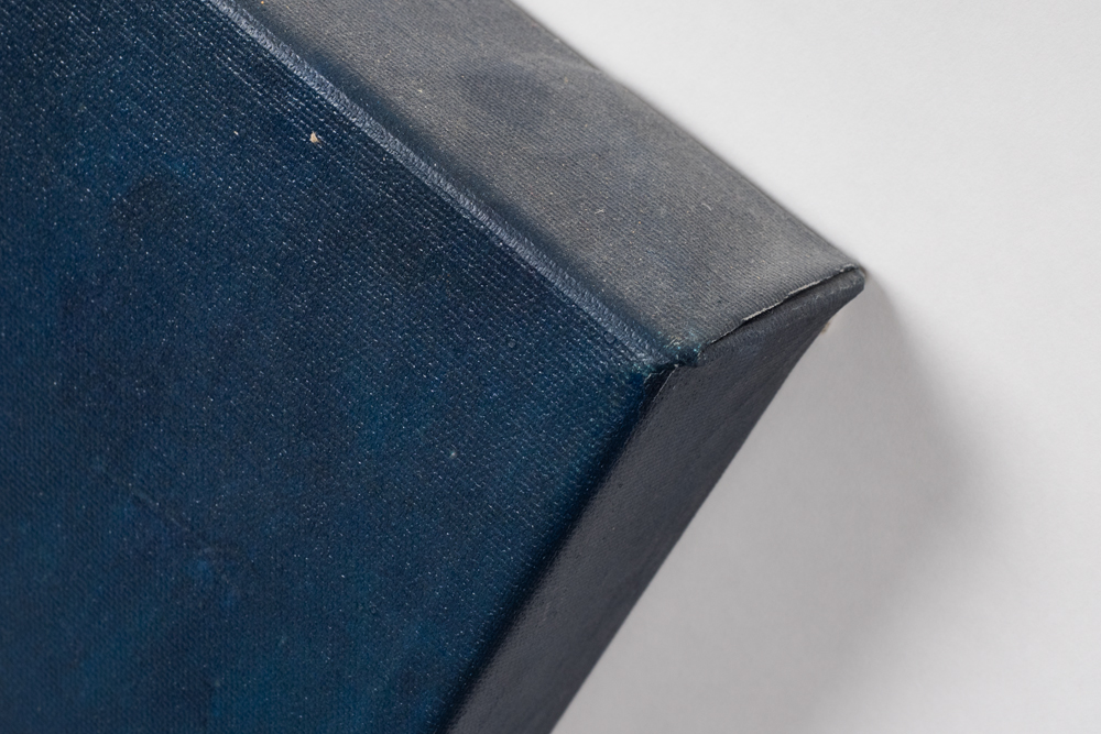 Fabrice de Villeneuve Mixed Media Print on Canvas