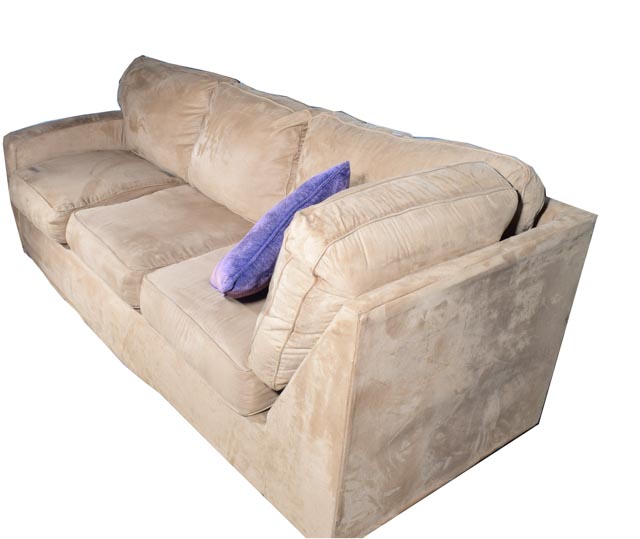 Sectional Sofa with Sleeper