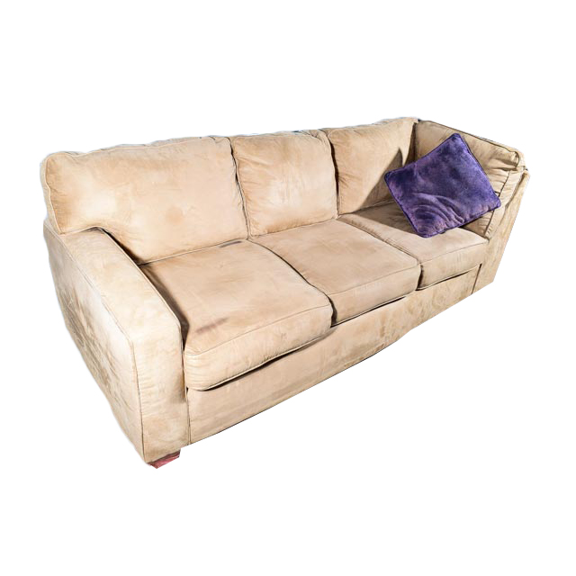 Sectional Sofa with Sleeper