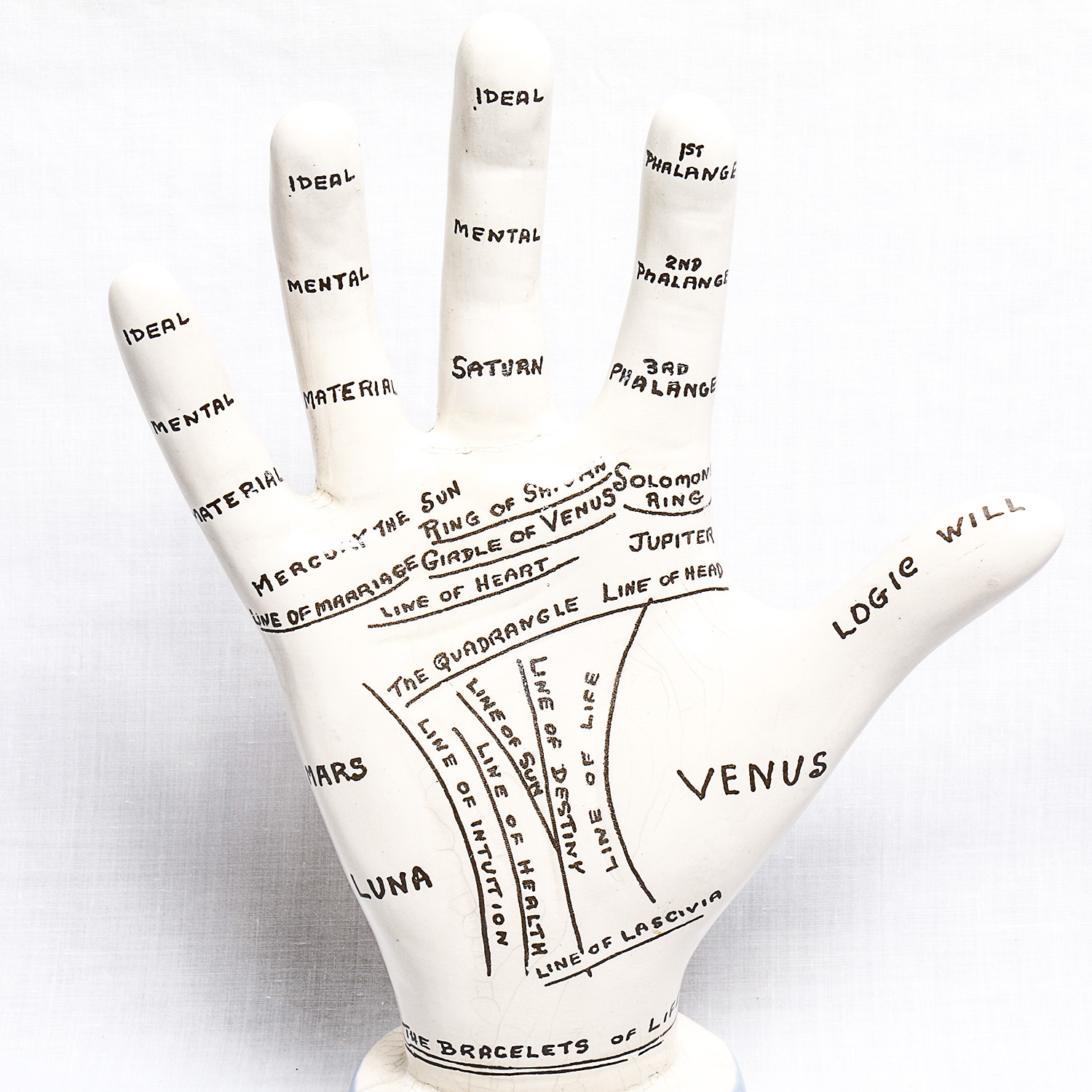 Vintage Porcelain Palmistry Model with Paper Guide