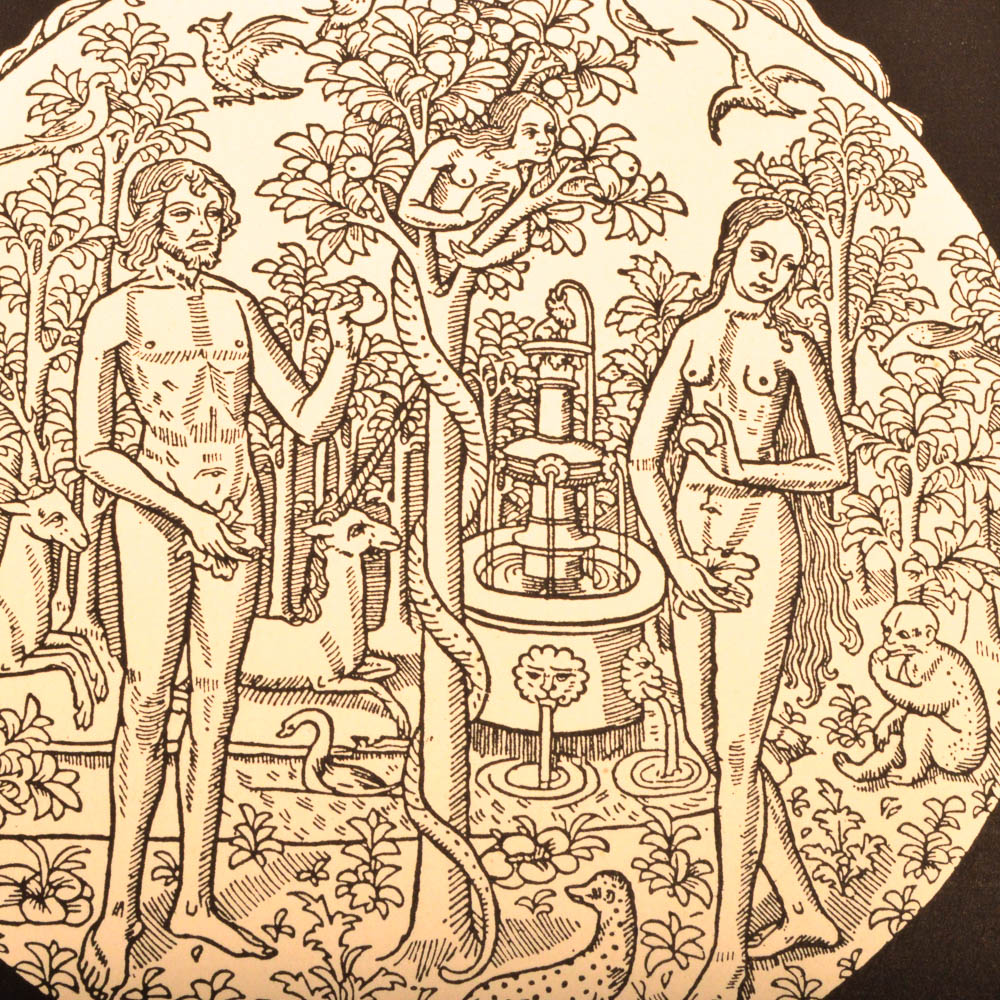 Douglas Percy Bliss First American Edition "A History of Wood-Engraving" With 120 Illustrations