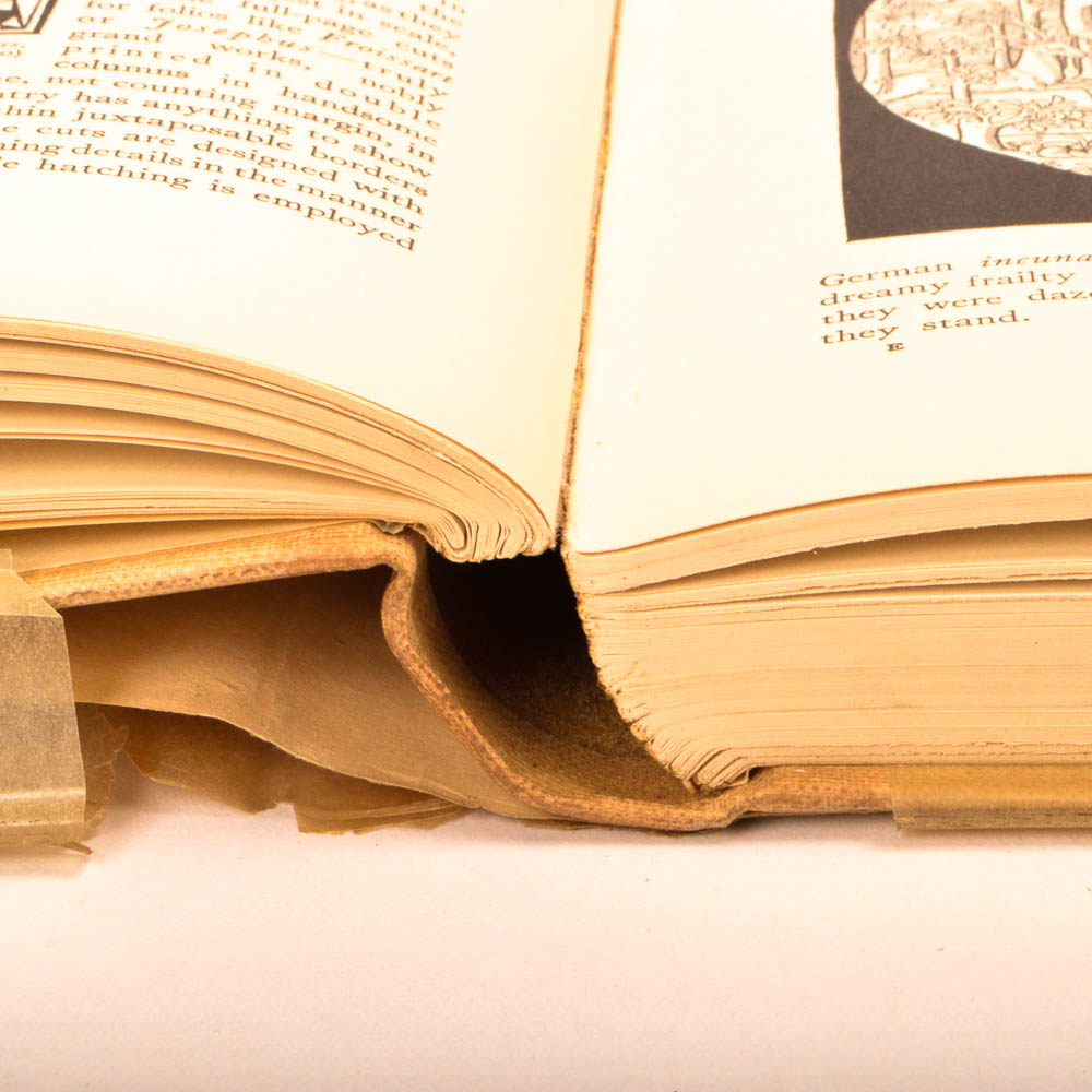 Douglas Percy Bliss First American Edition "A History of Wood-Engraving" With 120 Illustrations