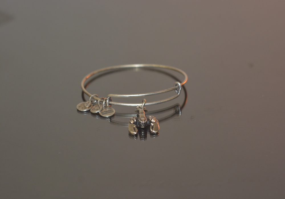 Set of Four Alex & Ani Nautical Bangle Bracelets