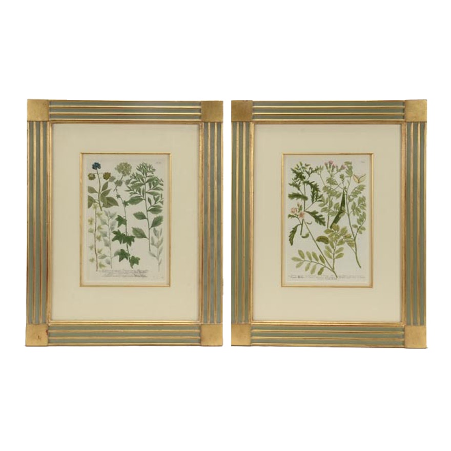 Pair of Hand-colored Botanical Prints