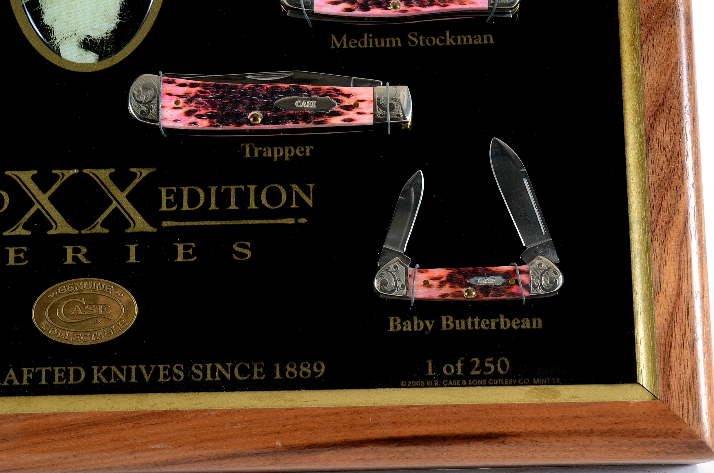 Case XX Limited Edition Series XVIII Mint Knife Set