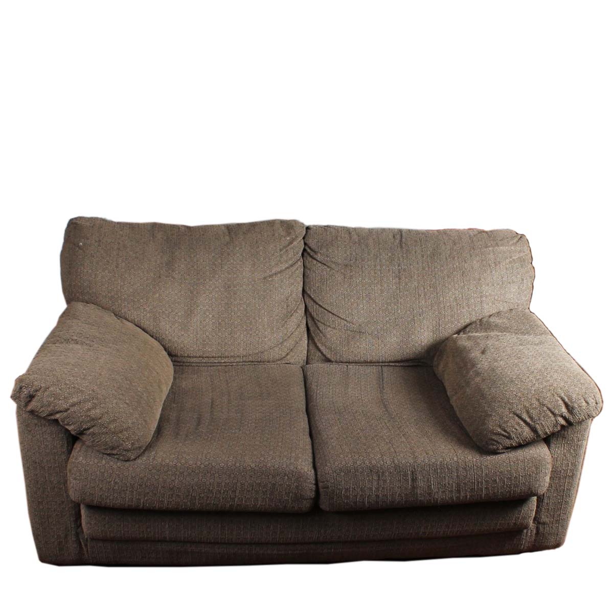 Modern Overstuffed Loveseat with Pull-out Mattress