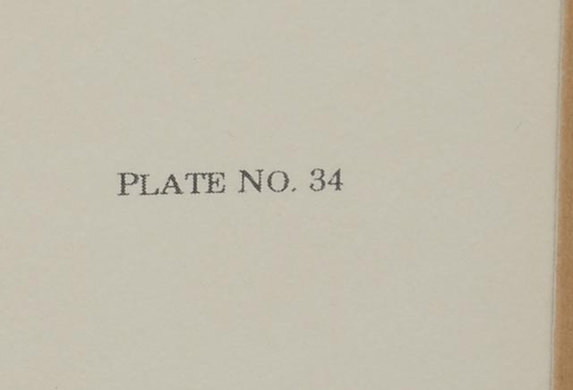 Jim Oliver Signed Print "White Tiger"