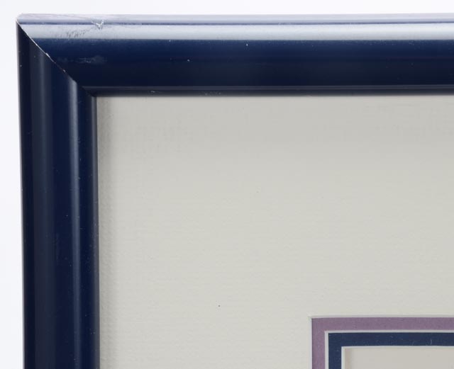 Ms. Lisa Etre Signed Limited Edition 1988 Serigraph "Tropical T'ing"