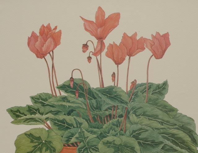 Pair of Sandra Tommela Floral Reproduction Prints