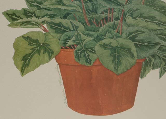 Pair of Sandra Tommela Floral Reproduction Prints