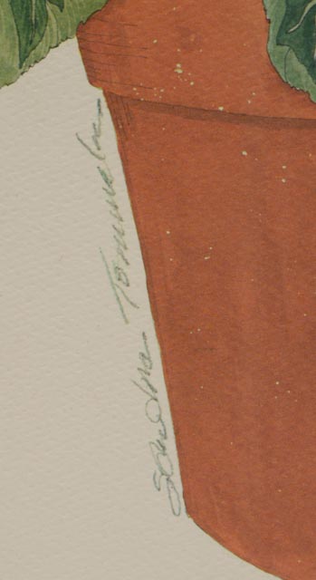 Pair of Sandra Tommela Floral Reproduction Prints