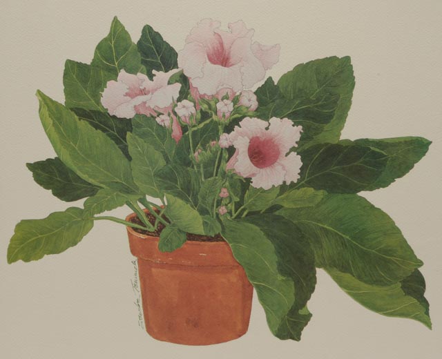 Pair of Sandra Tommela Floral Reproduction Prints