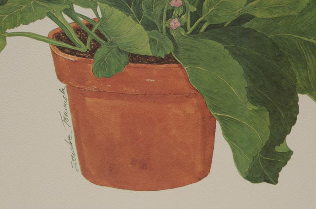 Pair of Sandra Tommela Floral Reproduction Prints