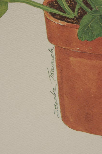 Pair of Sandra Tommela Floral Reproduction Prints