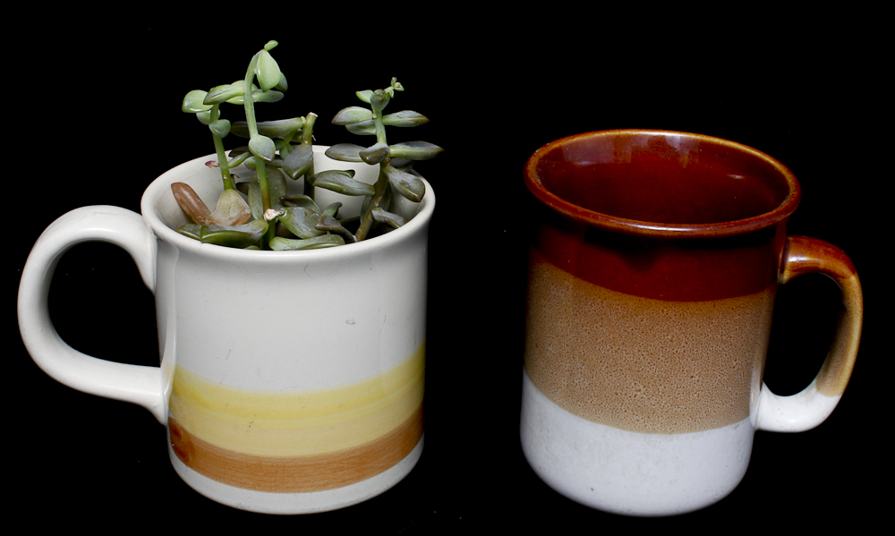 Collection of Vintage Mugs