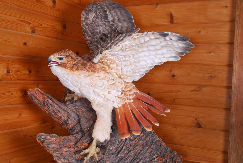 Paul Brunelle Fired Clay Red Tail Hawk Sculpture