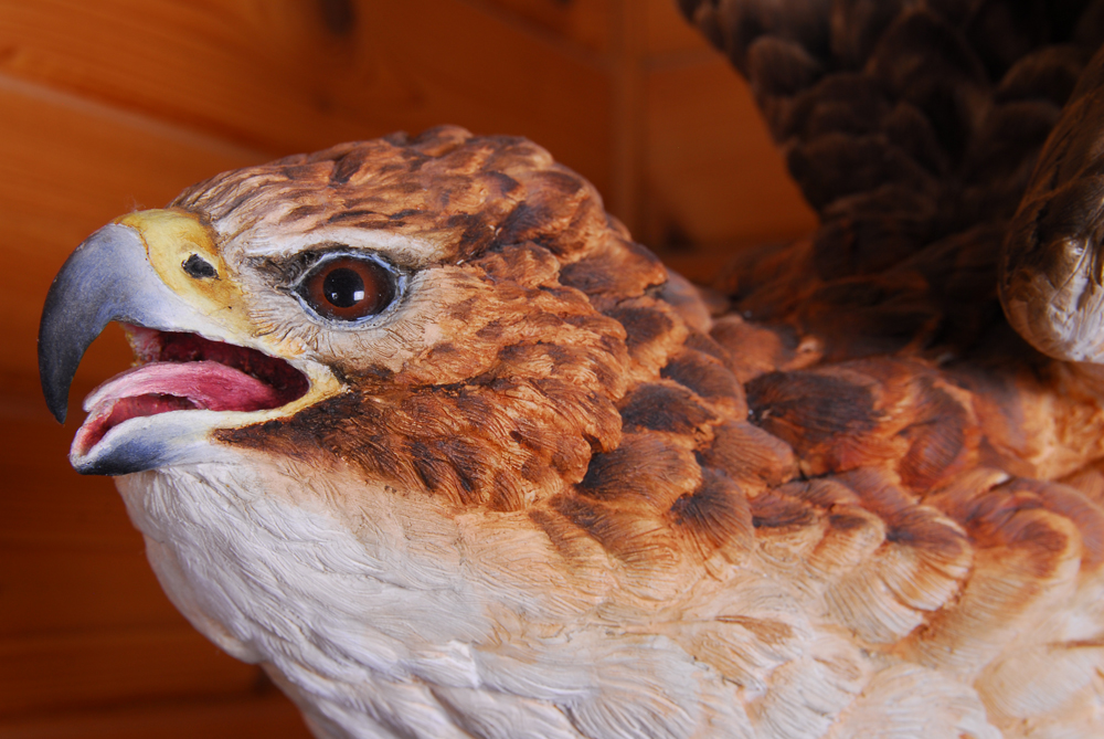 Paul Brunelle Fired Clay Red Tail Hawk Sculpture
