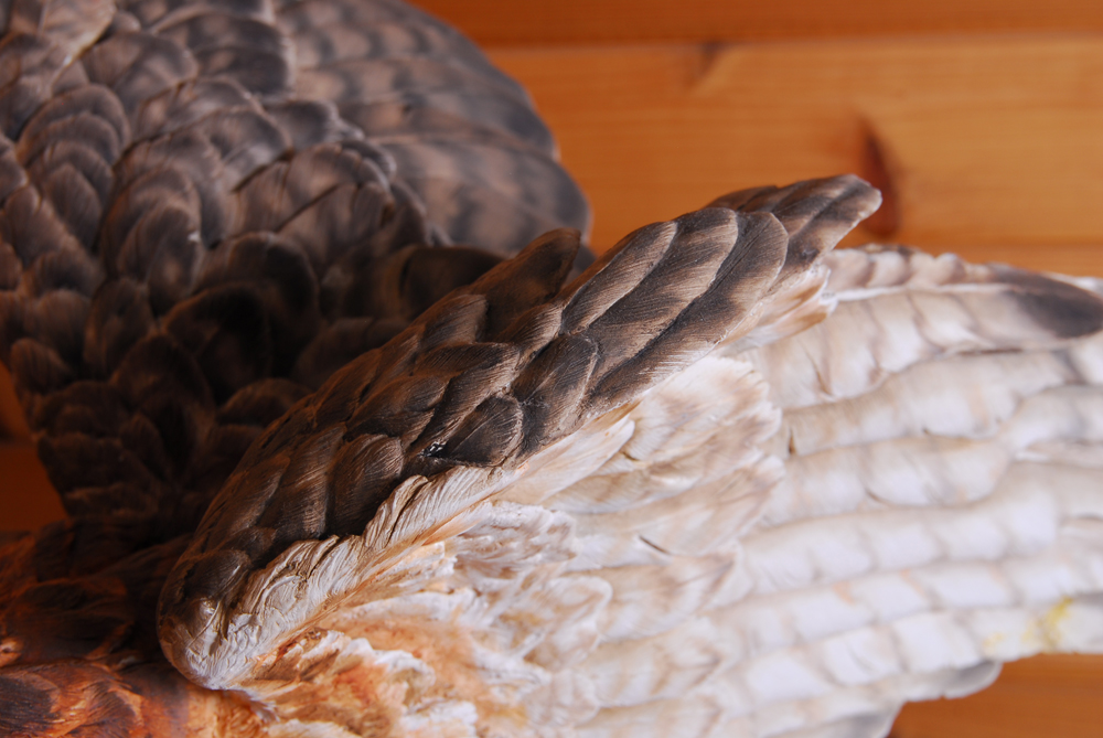 Paul Brunelle Fired Clay Red Tail Hawk Sculpture