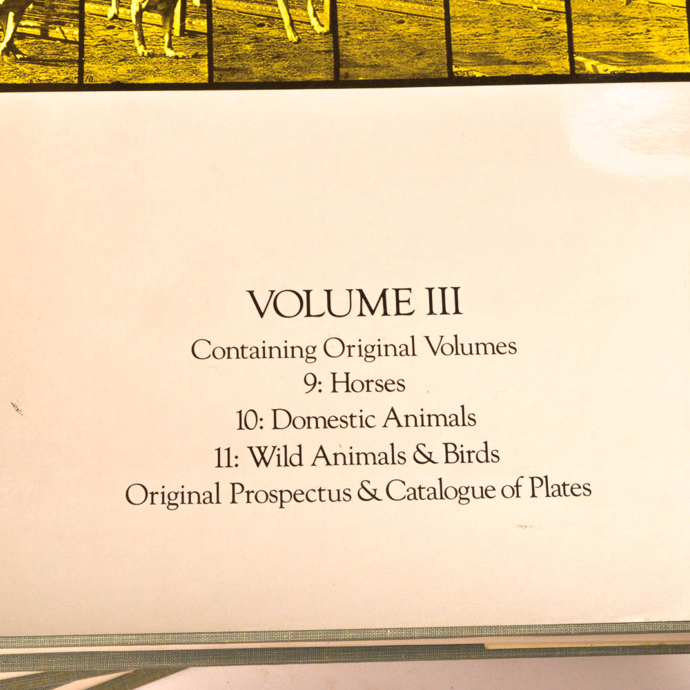 Eadweard Muybridge's "Complete Human and Animal Locomotion" Three Volume Set